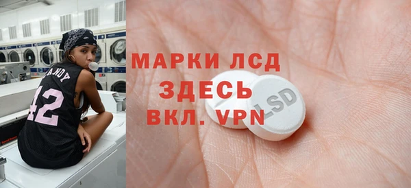хмурый Дмитров