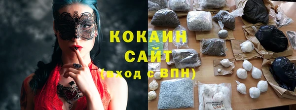 a pvp Гусь-Хрустальный